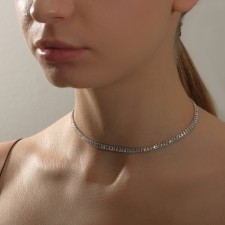 The necklace 