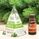 Aromamaed 15 ml "New Year in Russian!", Eucalyptus