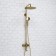 The shower system wasserkraft a171.263.207.pg, tropical shower, shower, gold