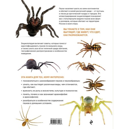 Spiders. Cognitive illustrated encyclopedia for the whole family. Semenova L.S.-1