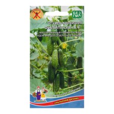 Seeds of cucumber 
