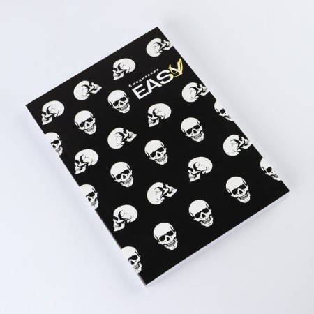 Diary "Skull", A5, 160 sheets, soft cover-1