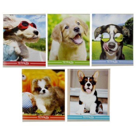 Notebook of 36 sheets in the Calligrata "puppies" cage, covered cardboard, block No. 2, whiteness 75% (gray sheets), mix
