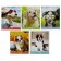 Notebook of 36 sheets in the Calligrata "puppies" cage, covered cardboard, block No. 2, whiteness 75% (gray sheets), mix