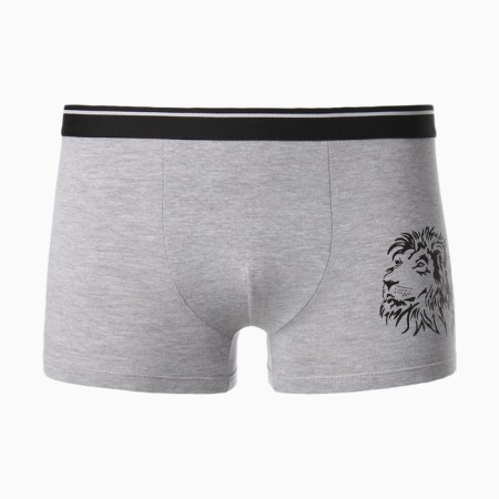 Panties men's boxers "lion", color gray melange, size 56-5