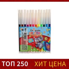 Felt -tip pens, 12 colors, non -premised cap