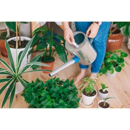 Watering can, 5 l, with a diffuser, galvanized, without a pattern, nose d = 25 mm-7