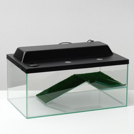 Terrarium for turtles 45 liters, with a lid, shelf and ladder, 55 x 33 x 25 cm