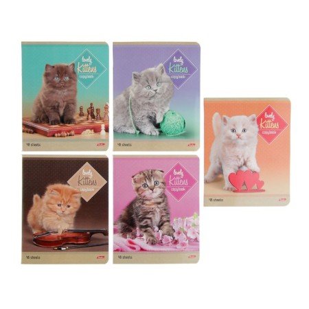 Notebook 48 sheets line "Kittens", mix