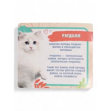 Toy - surprise "Pets. Cats "-15