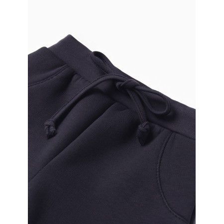 Costume: sweatshirt and pants crumb I am dino, height 86-92, dark gray-6