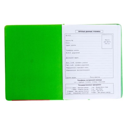 Diary, universal, for grades 1-11, “Monster in a sweater”, artificial leather, foam lining, 3D application, 48 sheets-2