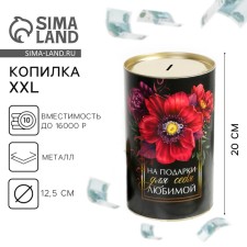 Piggy bank XXL 