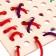 Lacing "Montessori"