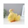 Figure "Ducklings" 20x10x17cm