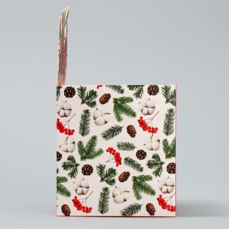 Box for mini-boots "Snow Shar", 12 x 17 x 10 cm, New Year-5