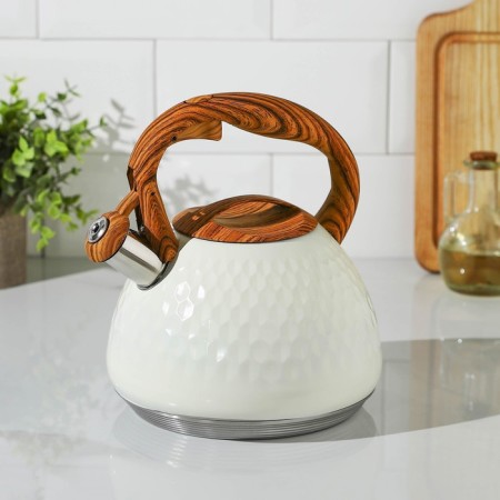 A kettle with a stainless steel whistle Magistro Heat, 3 L, TRS, Induction, Soft-Touch pen, white color-1