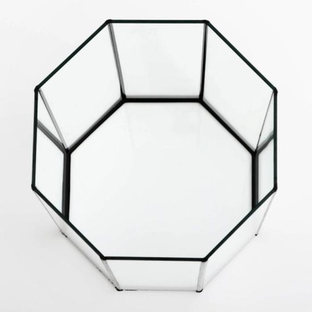 Aquarium "octagonal" with a lid, 24 liters, 25 x 25 x 46/50 cm, black-2