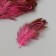 Decorative pheasant feather "Rice. Pink" set 20 pcs h = 5-7 cm