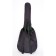 Lutner LDG-1 acoustic guitar cover