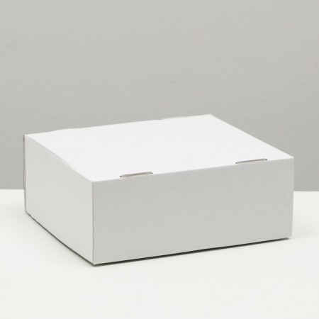 Box the team, cover is "white" 25x21x10 cm