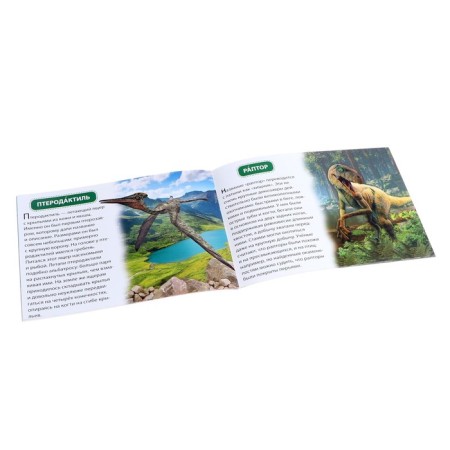 Board game "Dinosaurs", puzzle and training book-3