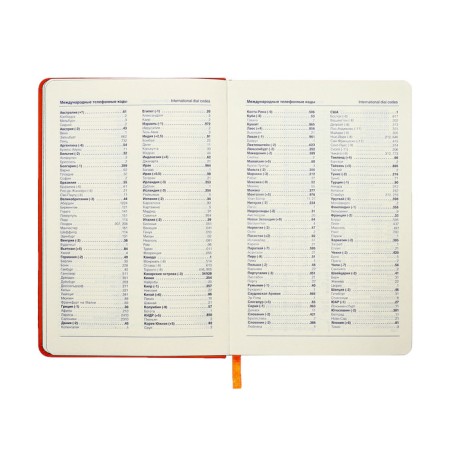 Leduced Diary A5, 140l, Cage, leatherette, elastic band, black cut, orange-7