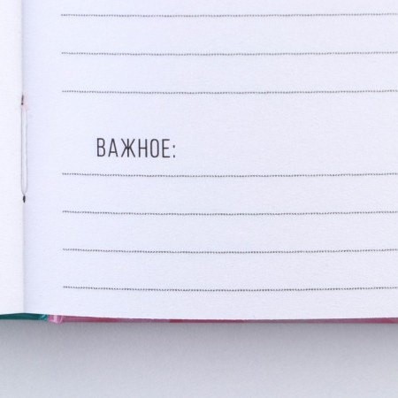 Diary "Butterflies" A5, 80 sheets-5