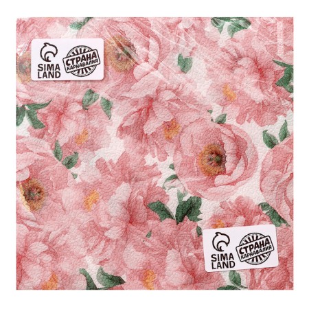 Two -layer paper napkins, 33x33 cm, set 20 pcs.-2