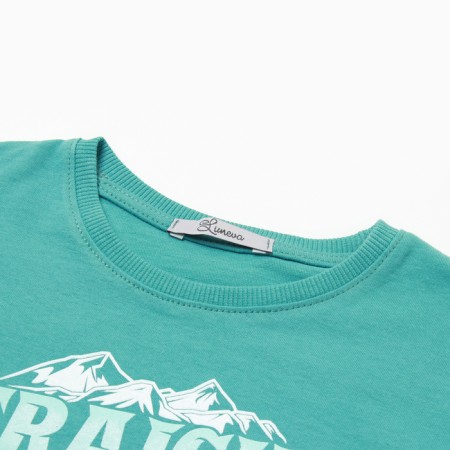 Set for a boy (T -shirt, shorts), green/gray color, height 104-1