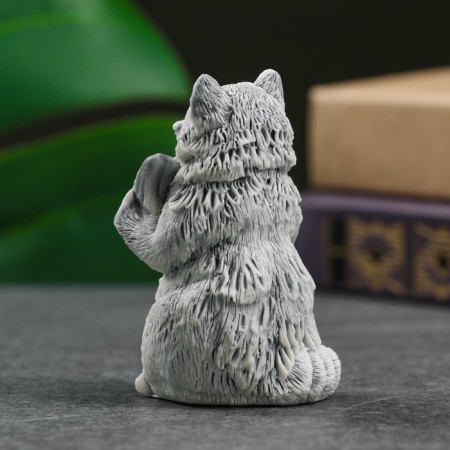 Souvenir "raccoon" mix-2