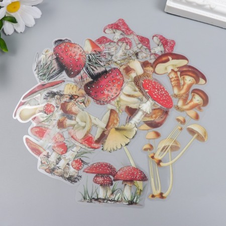 Stickers for creativity "Mushrooms" set 40 pcs 12x9 cm