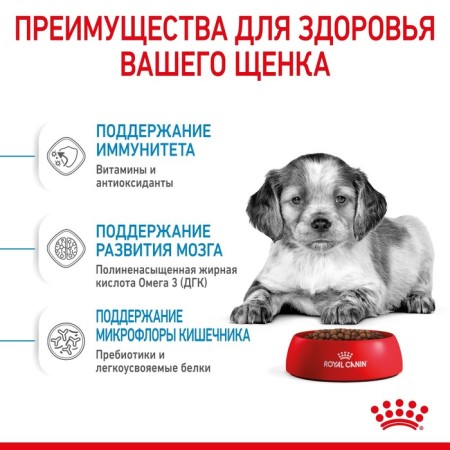 Сухой корм RC Medium Puppy для щенков, 3 кг-3