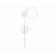 Lamp wall -mounted LED Ambrella Light, Linetech, FL5191, LED, 9 W, 675LUM, 3000K, white sand color