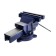 VIZA LOCKARY TUNNER TUNDRA, with anvil, high-strength cast iron СР-40, 200 mm