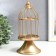 Summary Metal for 1 candle "Golden Cage on the leg" 21x10x10 cm