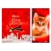 Milk chocolate "cat kiss" with white chocolate and pralina, 100 g