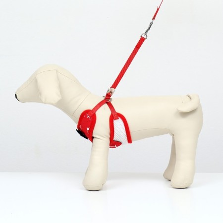 A set with a soft harness and a bow "anchor", size S, leash 120 x 1.5 cm, fire 23-42 cm, red-1