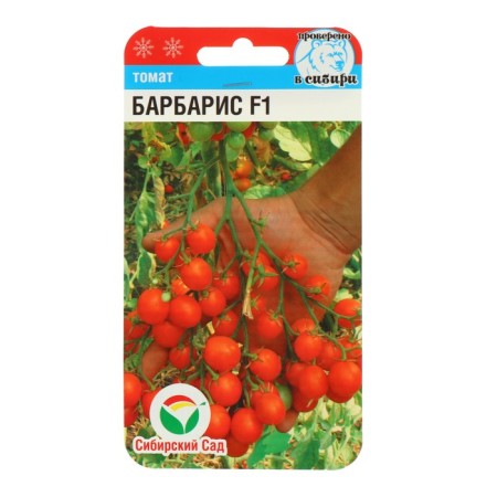 Seeds Tomat "Barberry" F1, Early Nespeli, 15 pcs-1