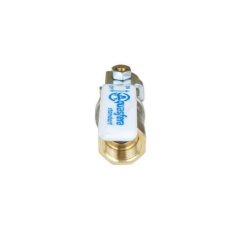 Balloon Aquasfera Standard 1101-06, 2 ", PN 16, internal thread, lever, nickel-3