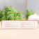 Plantain balm/wounds 35ml