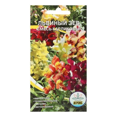 Flower seeds annual lion pharynx dwarf mixture 0.1