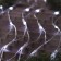 Garland "network" 2 × 1.5 m, IP44, UMS, transparent thread, 192 LED, white glow, 220 V
