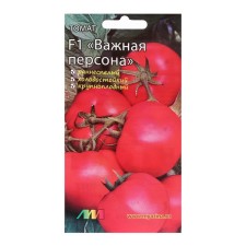 Seed Tomat 
