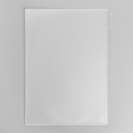 A4, 180 μm folder, calligrata, 5 departments, translucent, mix