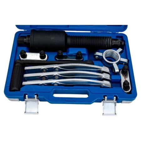 Reduced bison, professional, universal, 10 t-1