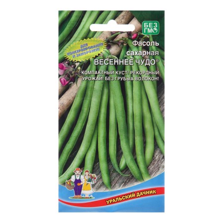 Seeds of beans "Spring miracle", sugar, 10 pcs