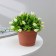 Pot for flowers with a pallet min, 1.2 l, d = 15 cm, h = 11.3 cm, terracotta color