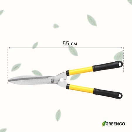 Kustorez, 21.5 "(55 cm), with rubber pens, with a case-6