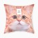 Decorative pillow "Usatik"